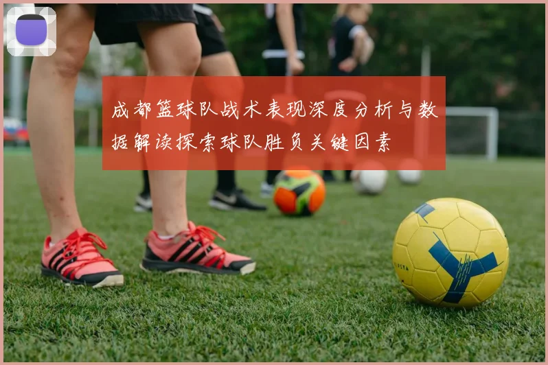 成都篮球队战术表现深度分析与数据解读探索球队胜负关键因素