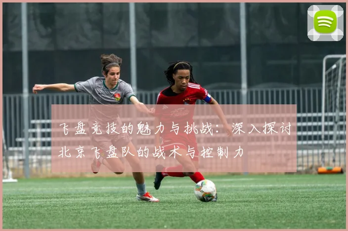 飞盘竞技的魅力与挑战：深入探讨北京飞盘队的战术与控制力